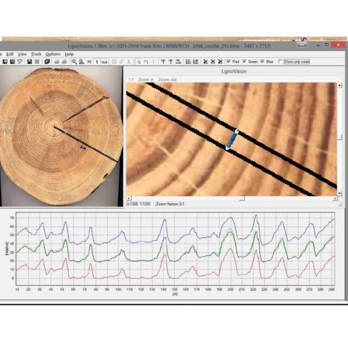 RINNTECH Lignovision resmi