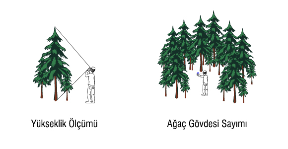 Haglöf EC II D-R Elektronik Eğim ve Mesafe Ölçer